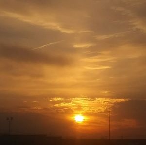 Meet your Posher, Terri